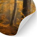 Vinilo decorativo Hojas doradas en un bosque brumoso - Maier - Redondo