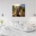 Canvasbillede, Elefant ved solnedgang