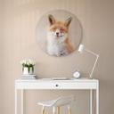 Tableau sur verre van Duijn - Renard content - Rond