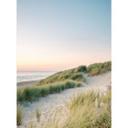 Playa y mar - Dunas en la costa holandesa - Zwart