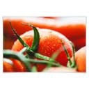Poster - Fresh Tomato