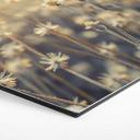 Hexagon Dibond Mexican Daisy