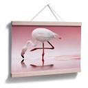 Poster - Reindl - Pink Flamingo