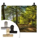 Póster Camino forestal junto al río