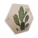 Hexagone - Placage bois de bouleau Saftleven - Cactus