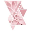 Muursticker Sisi & Seb - Roze Succulenten