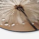 Vægcirkel Mælkebøtte i morgendug - Treechild – print på aluminium (Alu-Dibond)