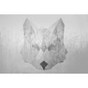 Architects Paper Papier peint photo Atelier 47 Fox Graphic motif animalier