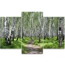 3 stykke lærredstryk, Birch Forest Nature
