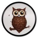 Plakat Coffee Owl