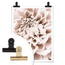 Plakat - 1X Studio - Chrysant