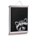 Póster Graves - Racoon