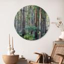 Glasbillede - Eukalyptus skov i Yarra Ranges - Colombo - Runde