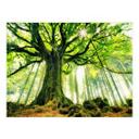 Póster Kiciak - Bosque de cuento de hadas