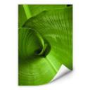 Poster autocollant - W - Feuille de Bananier