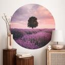 Vinilo decorativo Campos de lavanda púrpura al atardecer - Cevik - Redondo