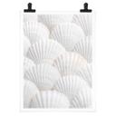 Póster 1X Studio - Conjunto Shell