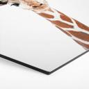 Hexagon Dibond Sisi & Seb - Baby Giraffe