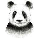 Sticker mural Kvilis - Panda