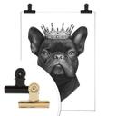 Plakat - Korenkova - King French Bulldog