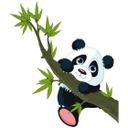 Wallsticker - Klatrende panda