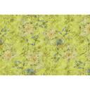 Livingwalls Fototapet Walls by Patel 2 tender blossom 1
