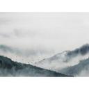 Designwalls i grå og sort 0photowaller Designwalls non-woven tapet GloomyLandscape fugle natur