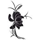Asiatisk Blomst