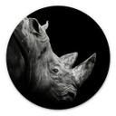 Hexagone - alu-Dibond Meermann - Le rhinocéros - Rond