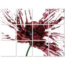 Azulejos Adhesivos Amapola Roja - lote de 12