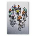 Alu-dibond zilver effect Sparshott - Peloton
