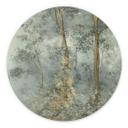 Wanddecoratie Betoverd Bos - Ms Tiff - Aluminium dibond - Rond
