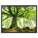 Póster Kiciak - Bosque de cuento de hadas