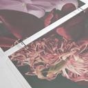 Separador de ambientes, biombo, pantalla de privacidad colgante Fleur de Paris - UN Designs
