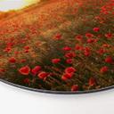Tableau en Alu-Dibond Champ de coquelicots au coucher du soleil - Rond