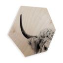Hexagon Hout Sisi & Seb - Bull