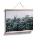 Póster - Cactus