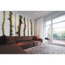 Architects Paper Papier peint photo Atelier 47 Blurred Thorns nature
