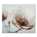 Kogeplade med tørrede blomster beige naturpoesi - Treechild
