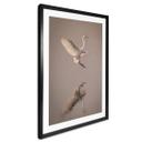 Póster Lai - Pájaro aterrizando en el agua