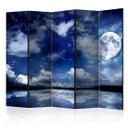 Paravent, Raumteiler freistehend, Trennwand - Magic Night II, 5-teilig - einseitig bedruckt - 225x172 cm