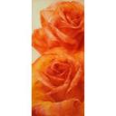 Diseño de puerta Schmucker - Rosas
