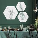 Hexagone - Alu-Dibond Sisi & Seb - Branche d'Eucalyptus