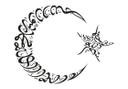 Sticker mural - Croissant de lune et étoile 2