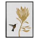 Plakat - Orara Studio - Hummingbird and Flower - golden flower