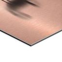 Geborsteld Alu-Dibond met goud-, zilver- & kopereffect - Reigers in ochtendmist - Treechild