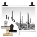 Póster Sisi & Seb - Cactus en el desierto