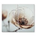 Kogeplade med tørrede blomster beige naturpoesi - Treechild