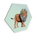 Hexagone - Alu-Dibond Loose - Lion succulent
