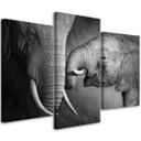 3 stykke lærredsprint Elefant sort og hvid